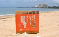 「漆喰と赤瓦で作るシーサーキット」2個セット｜キット 体験 恩納村 沖縄 人気 おすすめ 送料無料