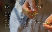 つづるガラスアート ゆうなの花－SUMI－「平丸皿」 吉田 栄美子 ｜ 大皿 1枚