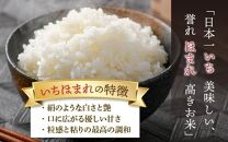 【令和6年産 新米】いちほまれ 精米 5kg×2袋（計10kg）《お米マイスターが発送直前に精米！》 ／ 福井県産 ブランド米 ご飯 白米 新鮮