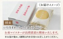 【令和6年産 新米】いちほまれ 精米 5kg×2袋（計10kg）《お米マイスターが発送直前に精米！》 ／ 福井県産 ブランド米 ご飯 白米 新鮮