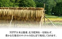 NIPPA米 有機コシヒカリ3kg 精米｜米 お米 有機米 こしひかり 無農薬 産地直送 産直  送料無料 