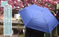 とち介の雨日和～雨の日が楽しみになる傘～(折りたたみ傘)
