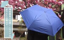 とち介の雨日和～雨の日が楽しみになる傘～(折りたたみ傘)【玩具 雑貨 日用品 人気 おすすめ 送料無料】