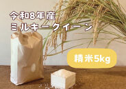 【令和8年産】栃木市岩舟町産ミルキークイーン5kg【精米】米　ミルキー　農家直送　産地直送