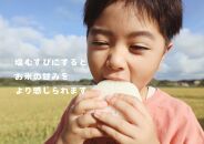 【令和7年産】栃木市岩舟町産ミルキークイーン5kg【玄米】米　玄米　ミルキー　農家直送　産地直送