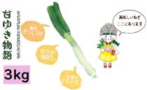 【先行受付・12月以降お届け】甘ゆき物語3kg【野菜 やさい 食品 人気 おすすめ 送料無料】