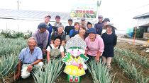 【先行受付・12月以降お届け】甘ゆき物語3kg【野菜 やさい 食品 人気 おすすめ 送料無料】