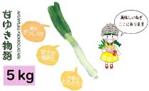 【先行受付・12月以降お届け】甘ゆき物語5kg【野菜 やさい 食品 人気 おすすめ 送料無料】