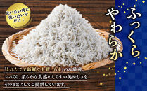 【スピード発送】&nbsp;最短7日以内発送！ふっくら、ぷりぷり、釜揚げしらす&nbsp;たっぷり1.5kg&nbsp;(500×3パック)&nbsp;那智勝浦町&nbsp;海鮮&nbsp;魚介類&nbsp;釜揚げしらす&nbsp;おすすめ&nbsp;魚介&nbsp;小魚&nbsp;魚&nbsp;鮮魚&nbsp;シラス&nbsp;しらす&nbsp;shirasu&nbsp;sirasu&nbsp;SIRASU&nbsp;しらすごはん&nbsp;しらす丼&nbsp;しらすパスタ&nbsp;しらすピザ&nbsp;しらすだし巻き卵&nbsp;
