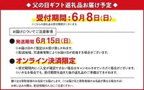 【父の日ギフト】ナギサビールの定番商品2種（330ml×12本）飲み比べセット