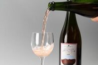 山雫ブランノワール：地元産ぶどう100％使用したスパークリングワイン（白・750ml）