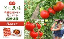 谷口農場：有機栽培トマト・ミニトマト収穫体験（5名まで）
