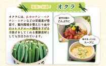 鹿児島県産　冷凍スライスオクラ