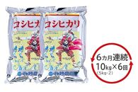 【6ヶ月定期便 毎月10kg】 新潟産コシヒカリ5Kg×2