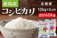 〈令和7年産 新米〉【定期便6カ月】 新潟産コシヒカリ 10kg×6回（計60kg）