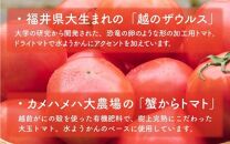 ふくいトマト水ようかん 100ml×8個 《福井県立大学と開発したトマトで作ったスイーツ》