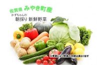 CC001 かずちゃんの朝採り新鮮野菜セット【みやき町産朝採り野菜をお届け】