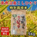 特別栽培米「南魚沼産コシヒカリ」（玄米）【5kg】