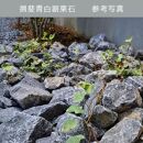 庭石 揖斐青白割栗石（150～300mm） 1袋（約20kg）　割栗石 ロックガーデン