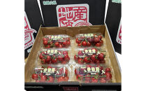 赤糖房（ミニトマト）【160ｇ×6パック】