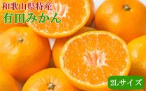 [秀品]和歌山有田みかん約4kg(2Lサイズ) ★2025年11月中旬頃より順次発送［TM199］