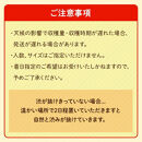 ◆先行予約◆〔柿満喫セット〕平核無柿10kg＆富有柿7.5kg【ご家庭用　全2回お届け】　柿 種無し たねなし 富有柿 定期便 訳あり 先行予約