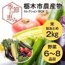 季節の恵み栃木市農産物セレクションBOX（１）