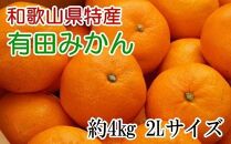 [秀品]和歌山有田みかん約4kg(2Lサイズ) 