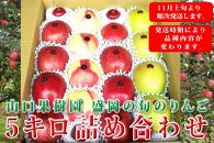 盛岡の旬のりんご５キロ詰め合わせ（11月より出荷開始）【季節限定】