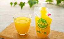 そのまんま100％柑橘ジュース詰合せ10本セット