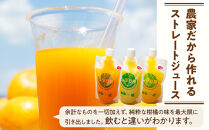 そのまんま100％柑橘ジュース詰合せ10本セット