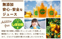 そのまんま100％柑橘ジュース詰合せ10本セット