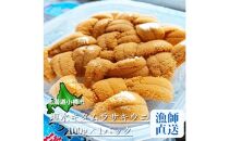 北海道小樽市 塩水キタムラサキ ウニ 100g×1パック 【漁師直送】