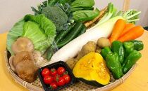 減農薬・農薬不使用で栽培した季節の野菜セット11～13品
