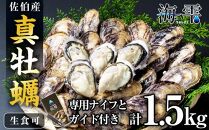 ひとくち真牡蠣　海雫～umishizuku～【生食可】｜真牡蠣1.5kg