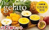 THE Gelato (ジェラート)　12個入りー大崎町産完熟果実使用―