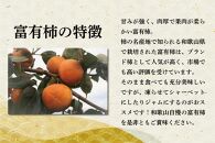 【2022年11月上旬発送】和歌山県産富有柿約7.5kg(サイズおまかせ)