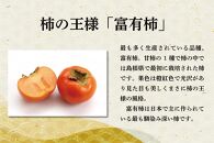 【2022年11月上旬発送】和歌山県産富有柿約7.5kg(サイズおまかせ)