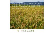 《新米》玄米30kg　令和６年産　南魚沼産　コシヒカリ　こしひかり　魚野川流域　匠 雲蝶(たくみ　うんちょう）＼生産農家直送／