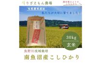 《新米》玄米30kg　令和６年産　南魚沼産　コシヒカリ　こしひかり　魚野川流域　匠 雲蝶(たくみ　うんちょう）＼生産農家直送／