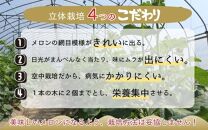 【先行予約】アンデスメロン 2玉入 4L（1.3kg以上×2玉）高糖度で抜群の美味しさお届け！／ 果物 フルーツ 産地直送 ※2025年6月下旬以降発送