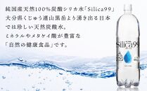 ＜６ヶ月連続お届け 定期便＞天然炭酸水Silica99　500ml×24本