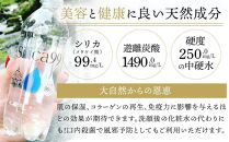 ＜２か月に１度のお届け！全３回 定期便＞天然炭酸水Silica99　500ml×24本