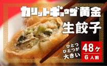 カリットギョウザ 生餃子48ケ【6人前】ジューシー ひとつひとつが大きい