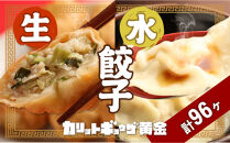 カリットギョウザ やまもりセット２種（96ケ）餃子 64 水餃子 32