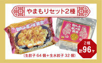 カリットギョウザ やまもりセット２種（96ケ）餃子 64 水餃子 32