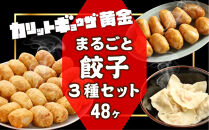 カリットギョウザ まるごとセット３種（48ケ）餃子 水餃子 スマイル餃子