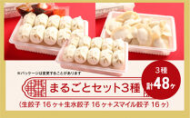 カリットギョウザ まるごとセット３種（48ケ）餃子 水餃子 スマイル餃子