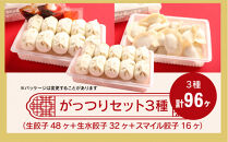 カリットギョウザ がっつりセット３種（96ケ）餃子 水餃子 スマイル餃子