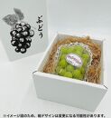 内子町産　シャインマスカット　1房　約750g【フルーツ 果物 くだもの 食品 人気 おすすめ 送料無料】